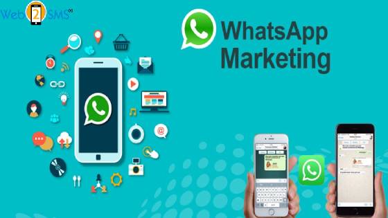 Whatsapp Marketing In India 